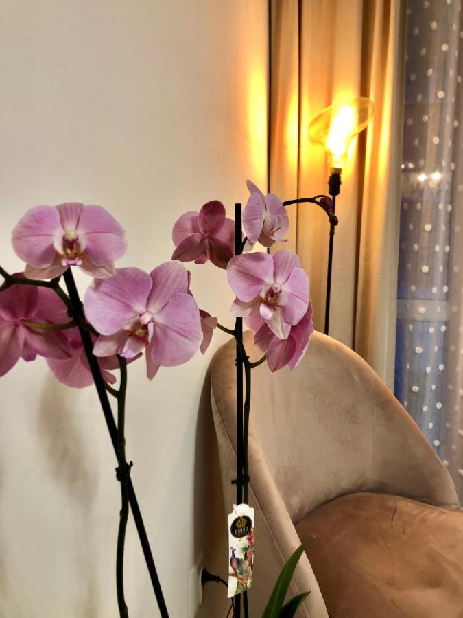Old Town Romantic Apartment. Breslau-Wroclaw. Esterno foto